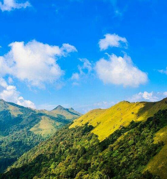 Tadiandamol Peak - Trek