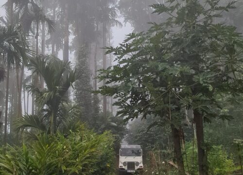🌄 Meruti Hill – The Untold Gem of the Western Ghats