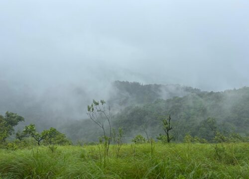 Tavoor Hills
