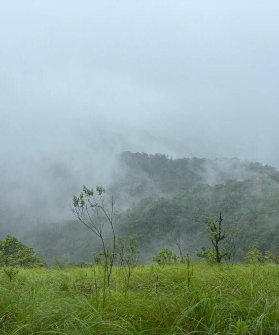 Tavoor Hills
