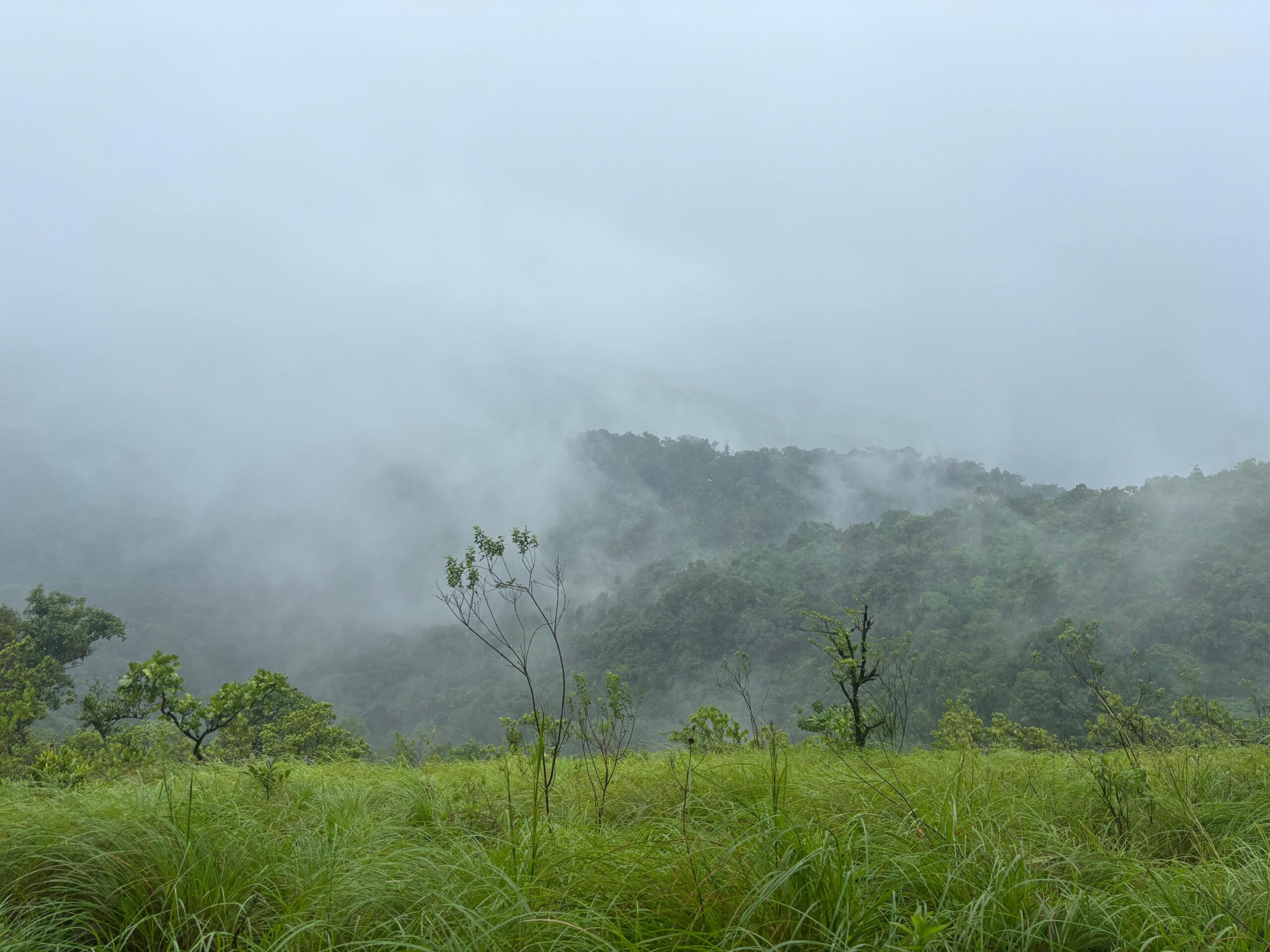 Tavoor Hills