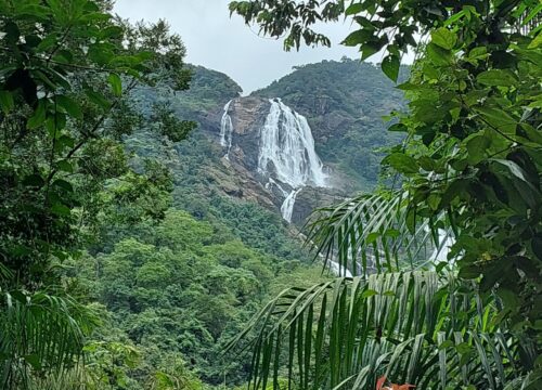Dudhsagar Waterfalls Trek