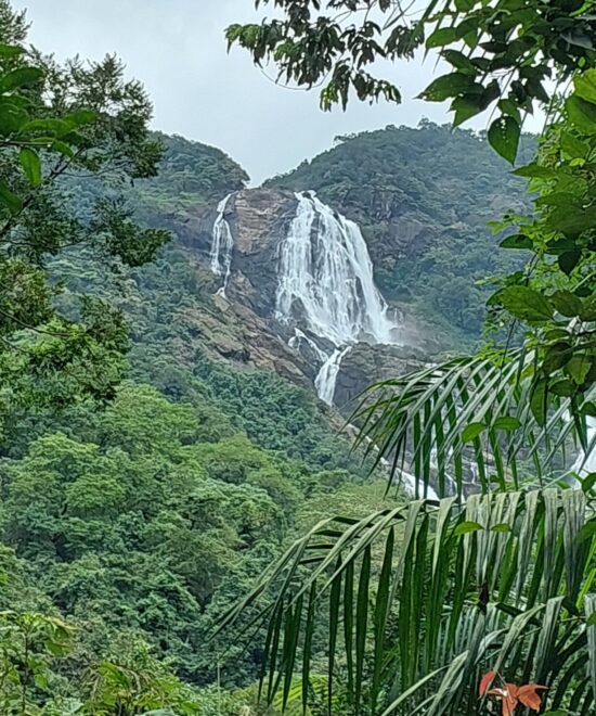 Dudhsagar Waterfalls Trek