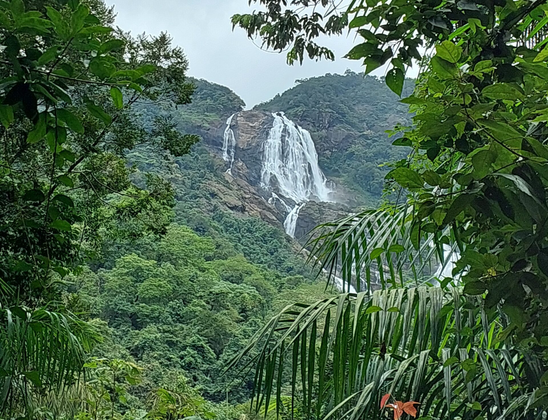 Dudhsagar Waterfalls Trek